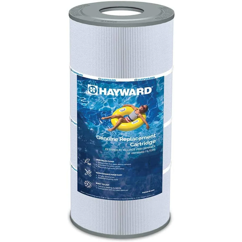 Cartouche pour Filtreur SwimClear (CX580XRE)