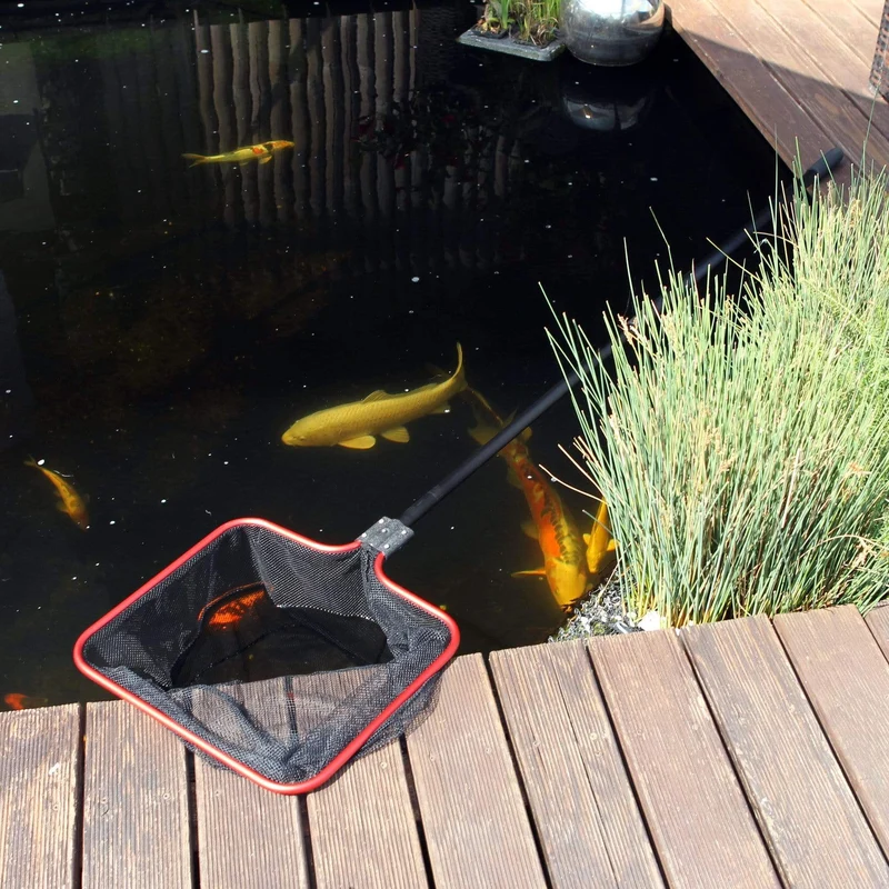 Épuisette bassin JBL S mailles fines