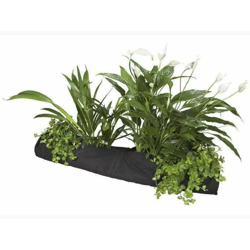 Plant Socks 15 x 80CM - Chaussette de plantation pour bassin