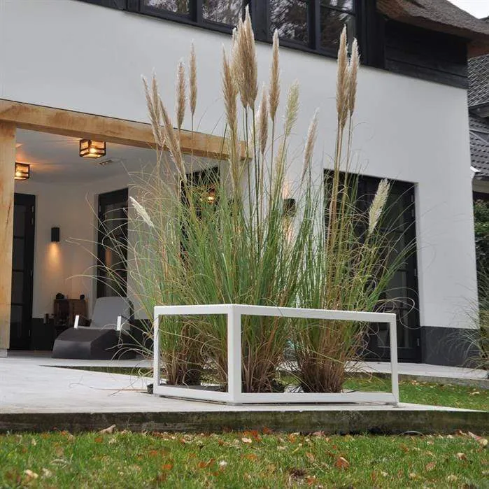 Jardinière en corten - Cadre de plante 2m x 2m x 0.4m