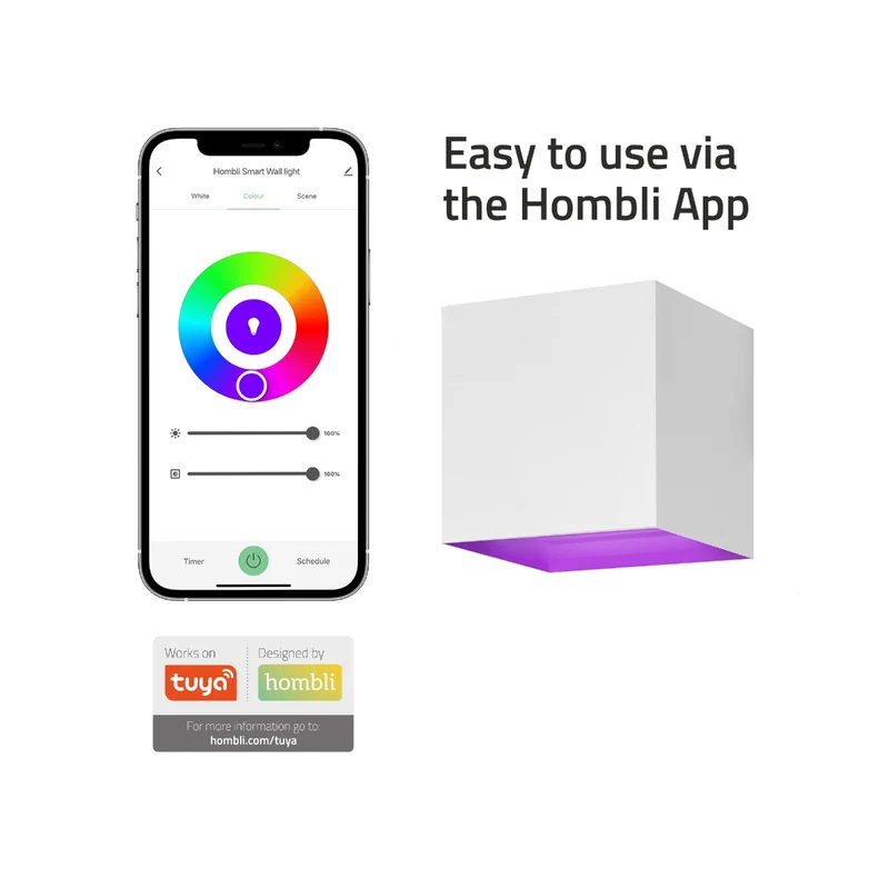 Hombli Smart Wall Light