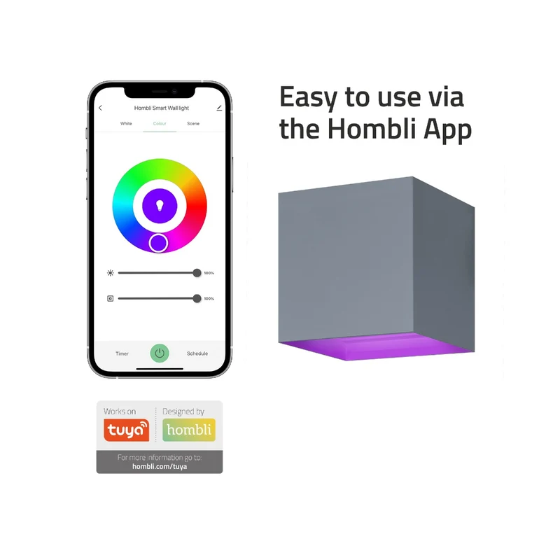 Hombli Smart Wall Light