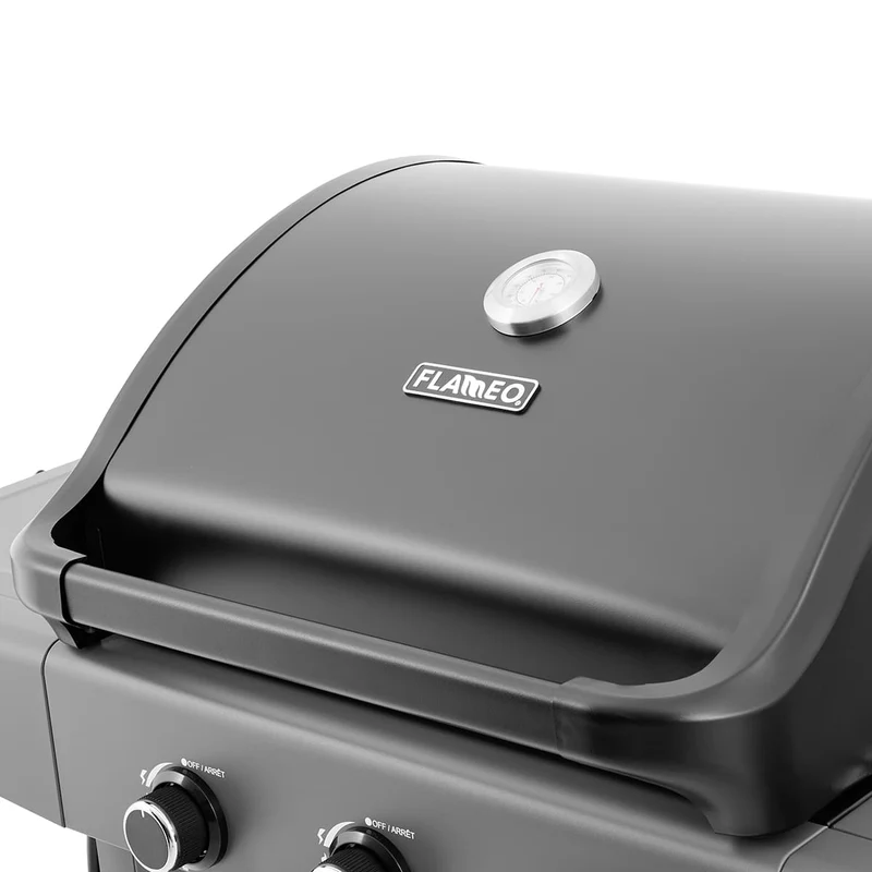 BBQ au gaz Flameo 300 - 30 000 BTU