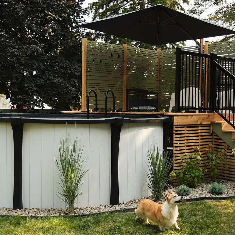 Échelle pour piscine hors terre