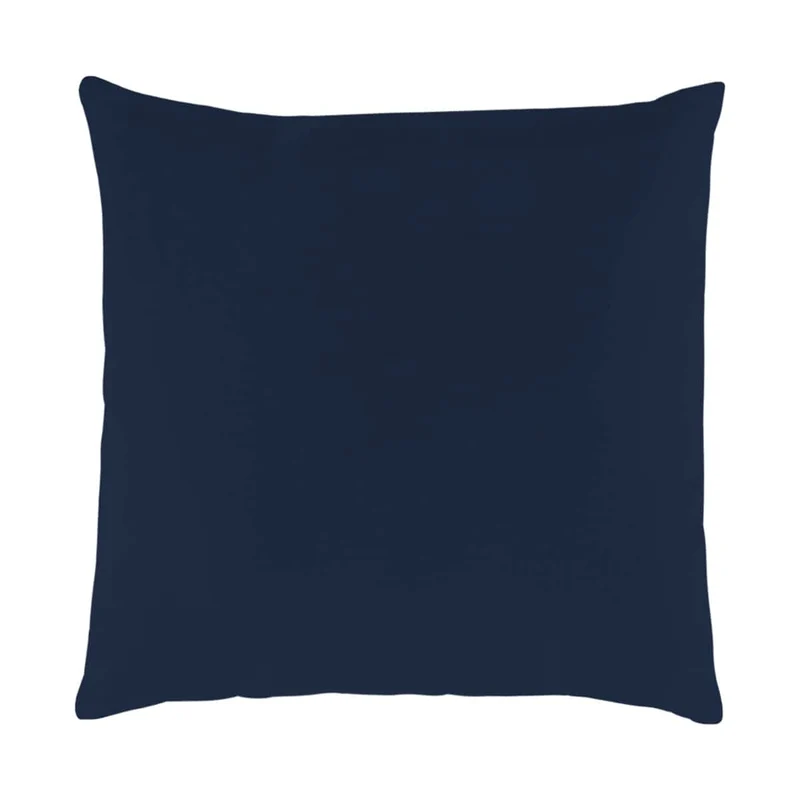 Coussin extérieur 18 x 18 po - Framboise bleue