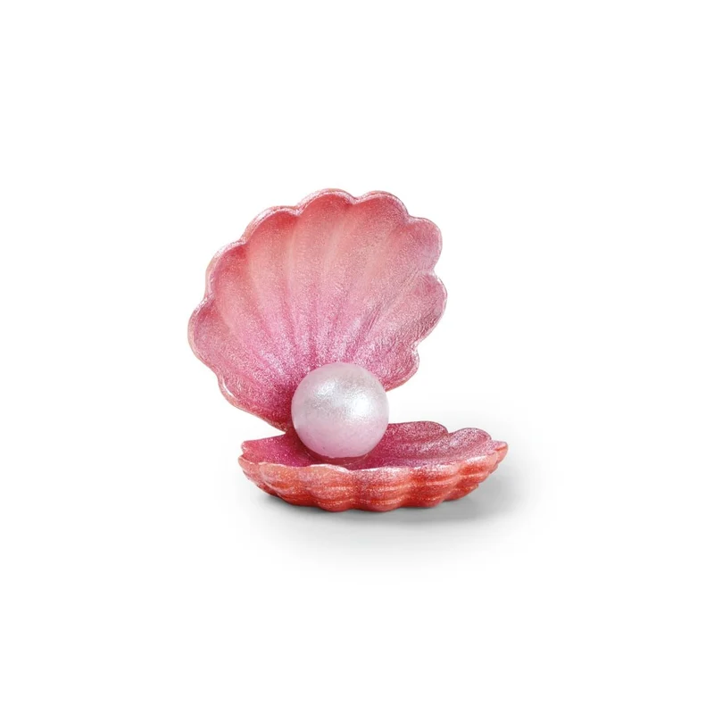 EDEN coquillage