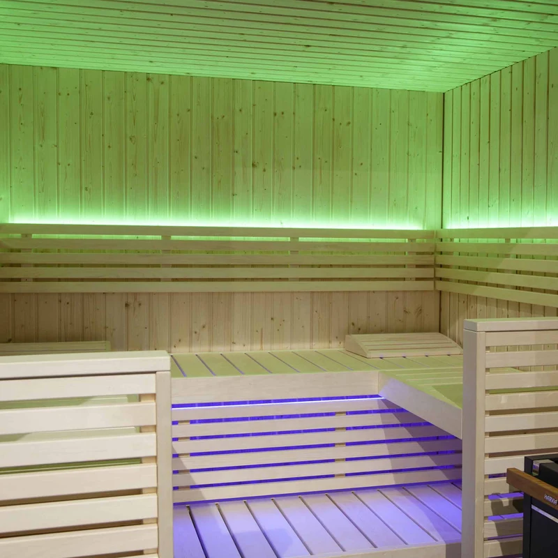 Sauna Variant View design vue panoramique
