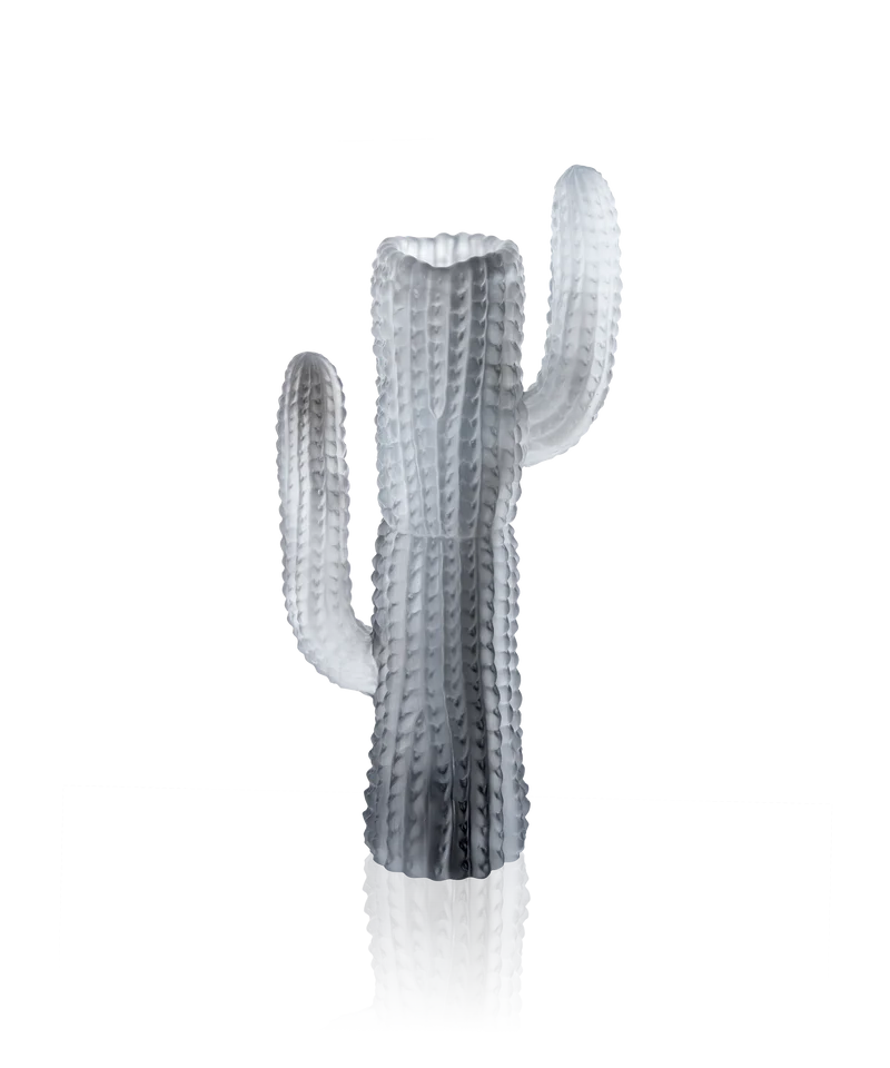 Jardin de Cactus Vase Gris de Emilio Robba