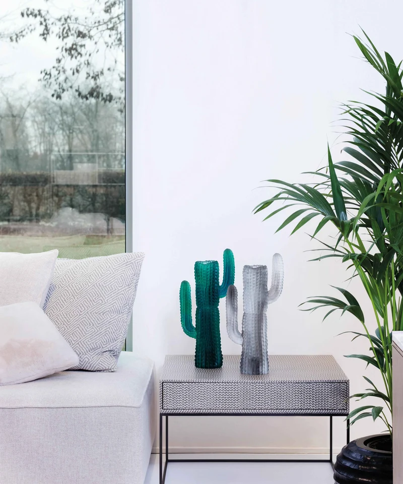 Jardin de Cactus Vase Gris de Emilio Robba
