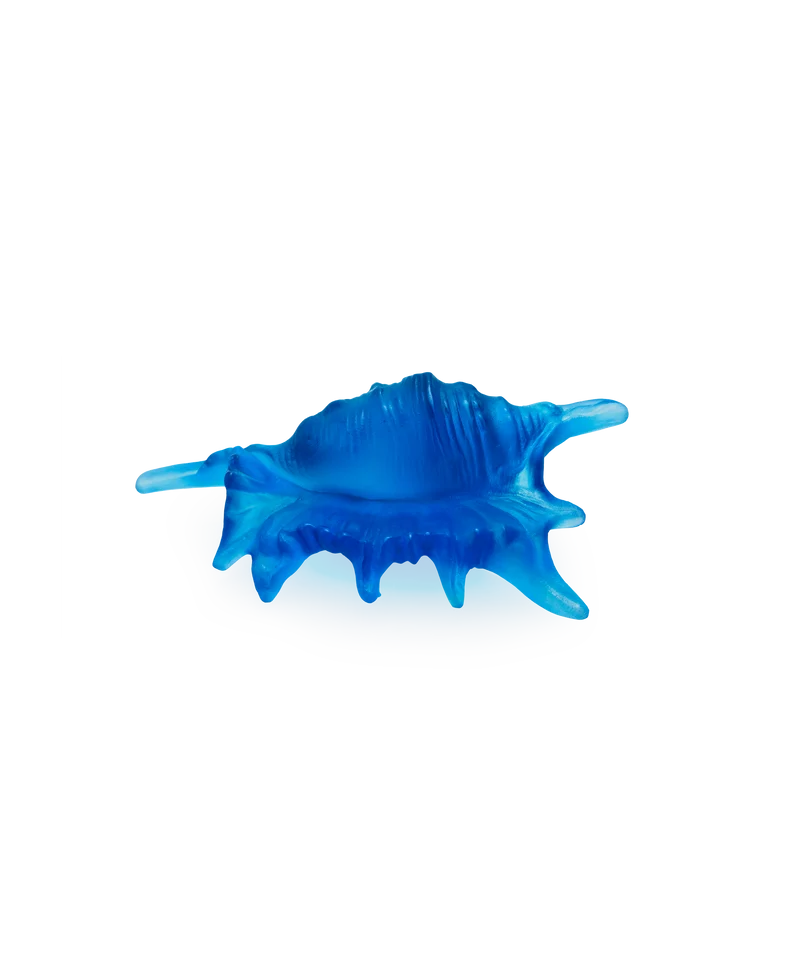Mer de Corail Coquillage petit modèle