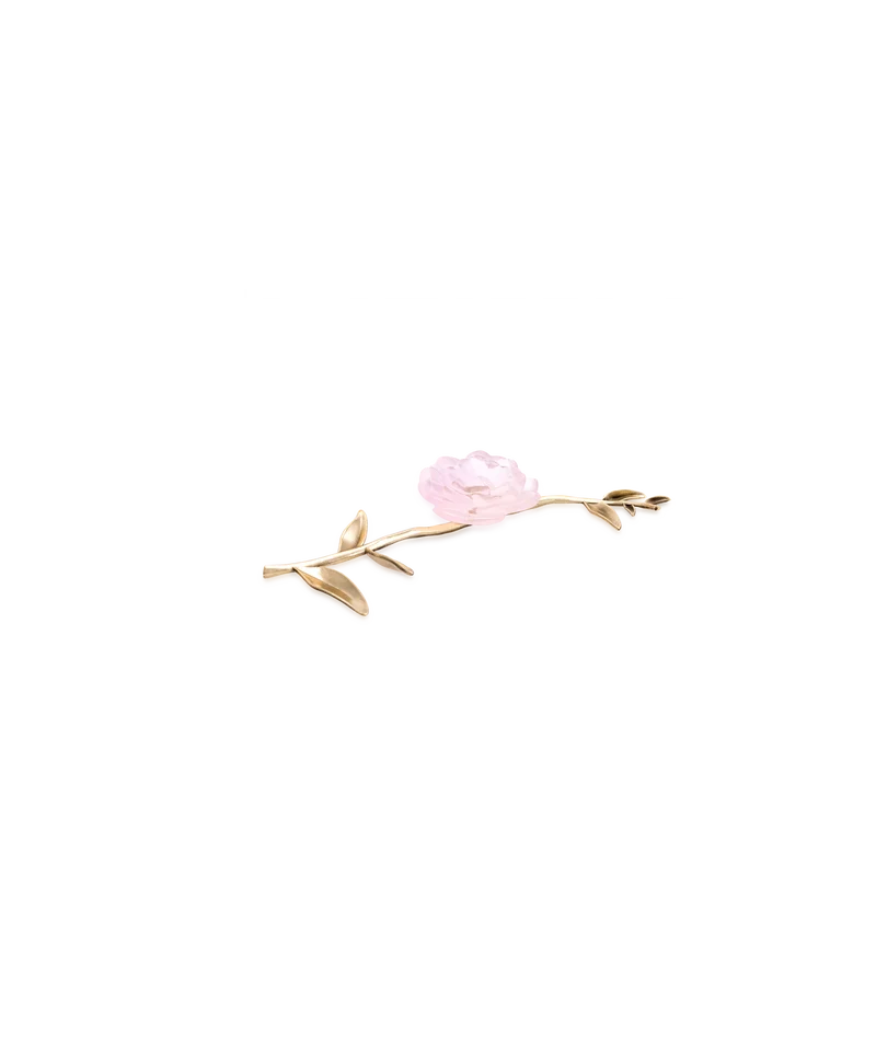 Camelia Fleur d'apparat Rose