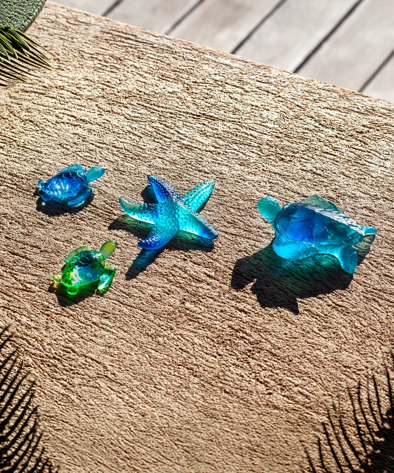 Mer de Corail Tortue de mer moyen modèle Bleue