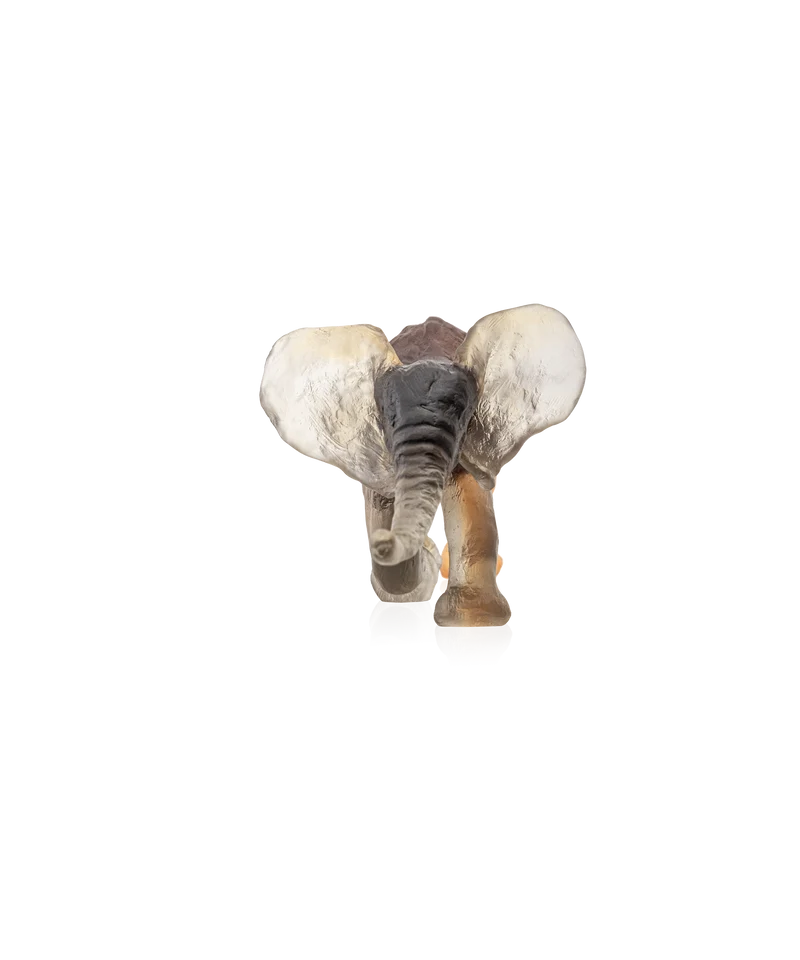 Eléphant Savana