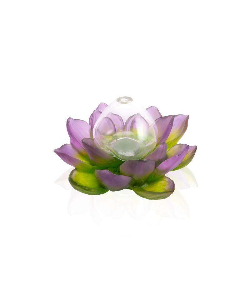 Jardin de Lotus Soliflore Violet-vert