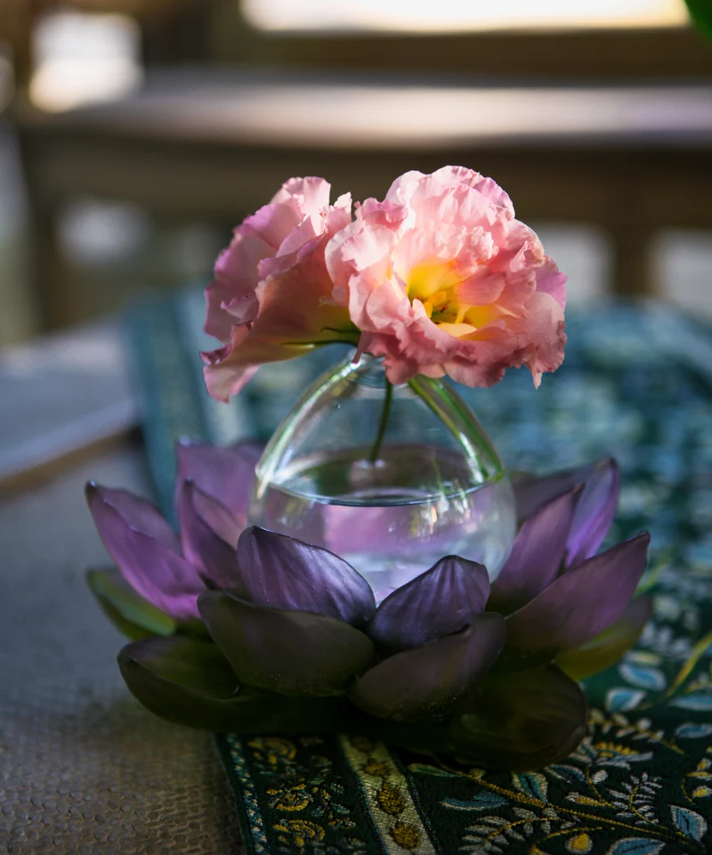 Jardin de Lotus Soliflore Violet-vert