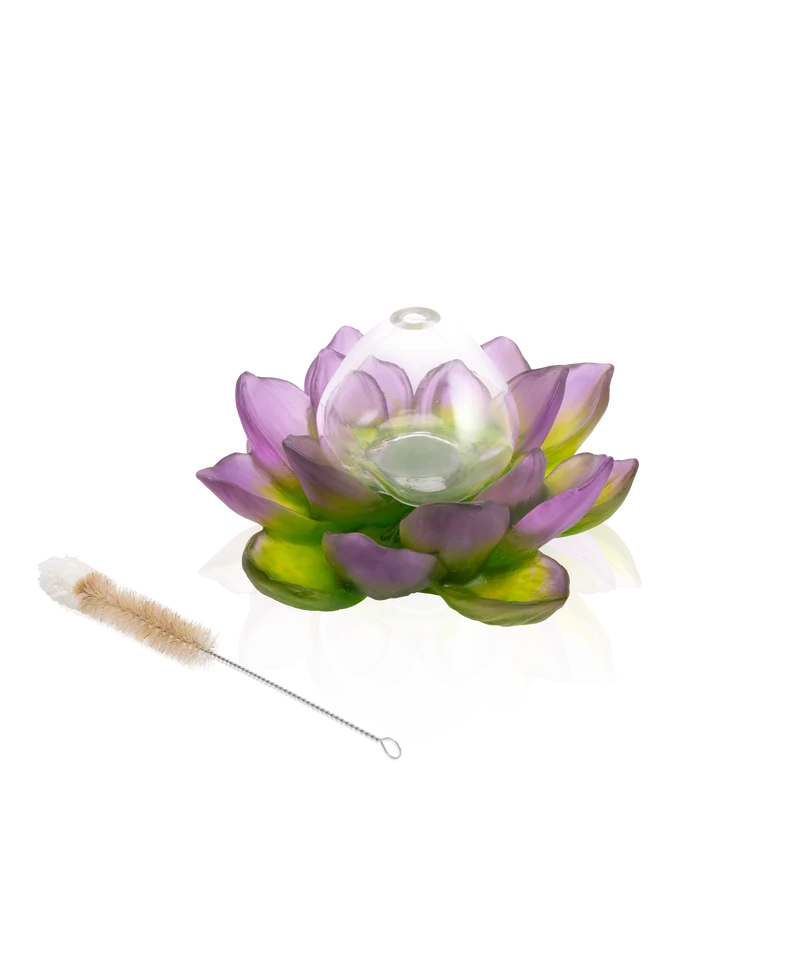 Jardin de Lotus Soliflore Violet-vert