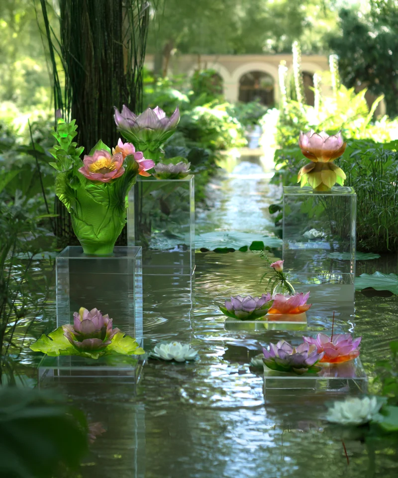 Jardin de Lotus Soliflore Violet-vert