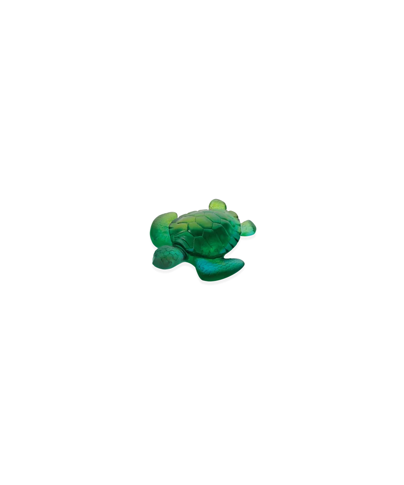 Mini tortue Turquoise