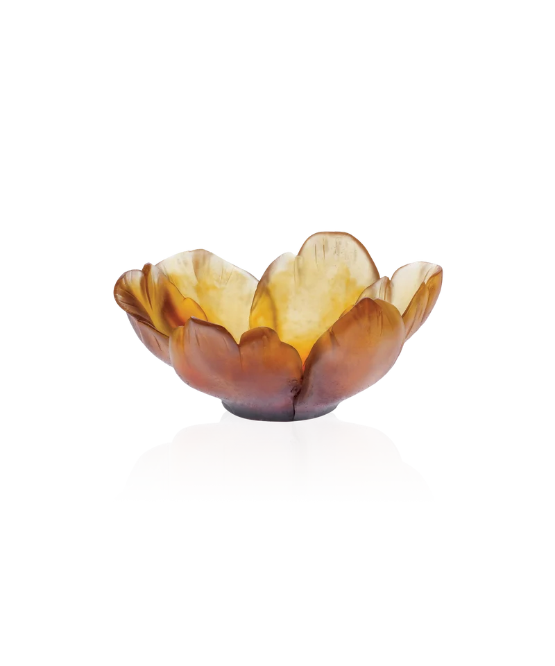 Tulipe Coupelle Ambre