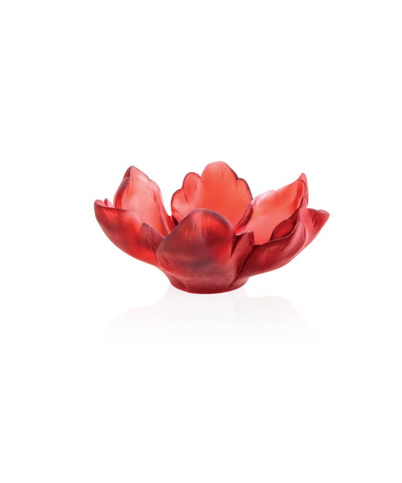 Tulipe Coupelle Rouge