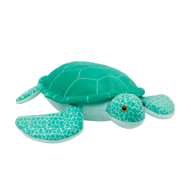 Tout sur la nature Green Green Sea Turtle