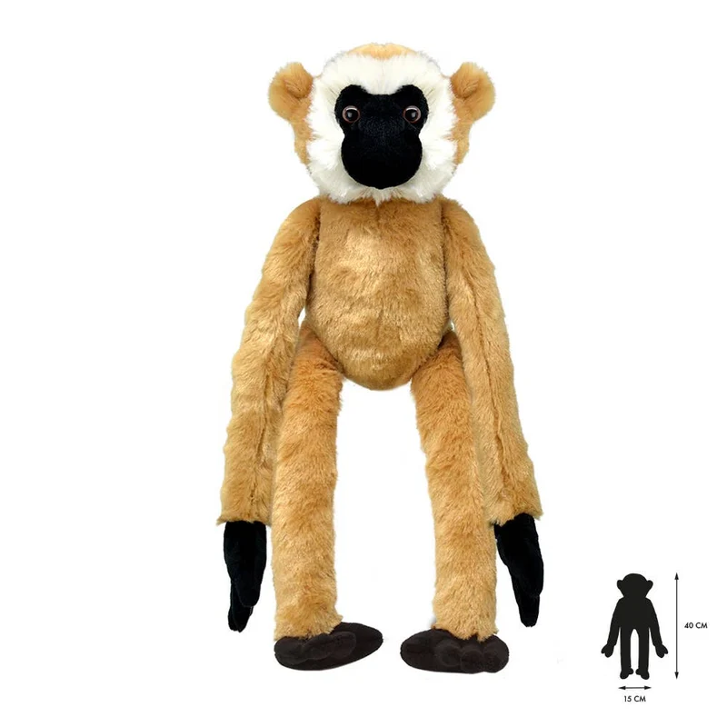 Tout sur Nature Gibbon