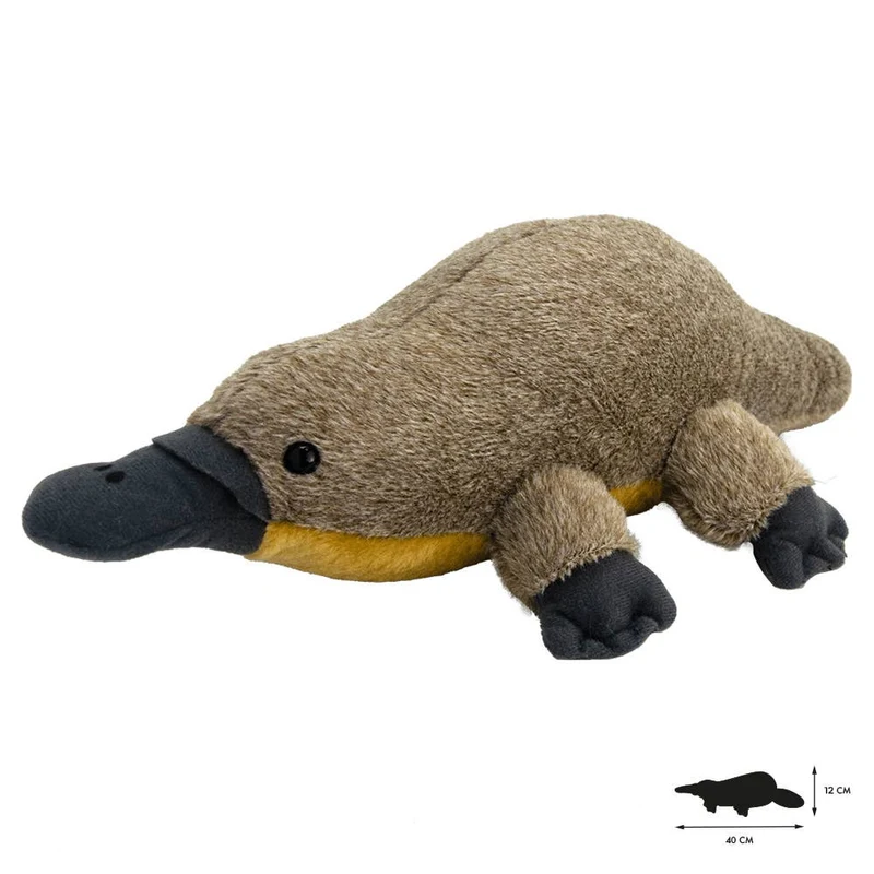 Tout sur la nature Platypus
