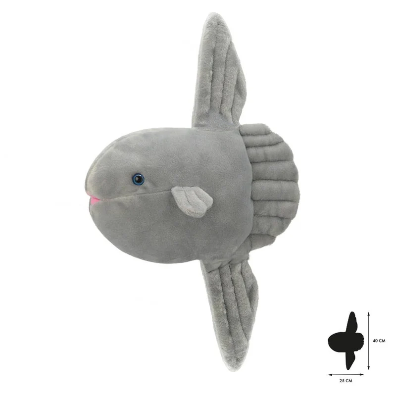 Tout sur la nature Sunfish