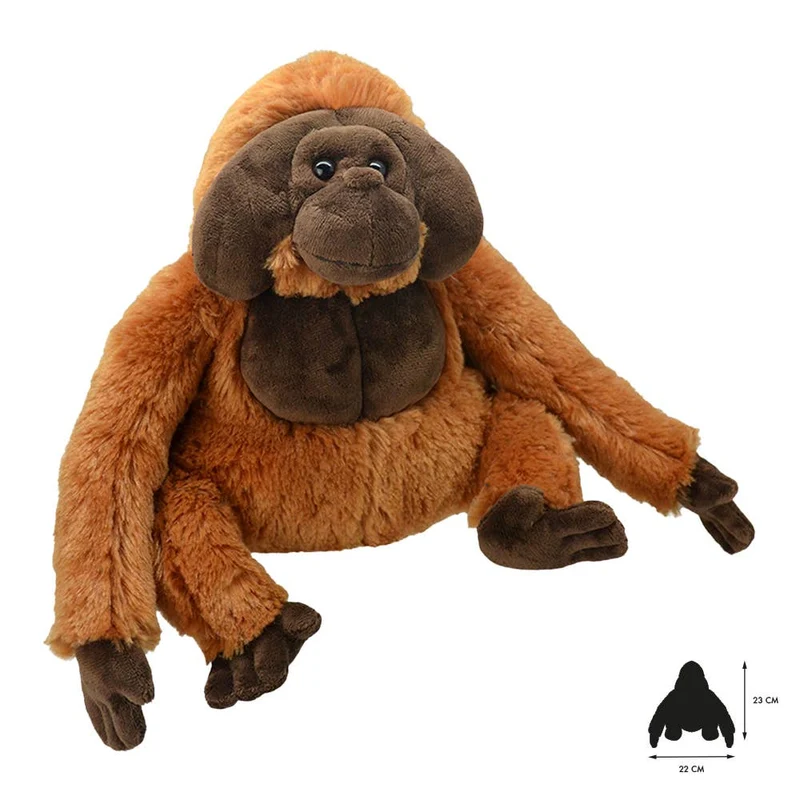 Tout sur la nature : orang-outan