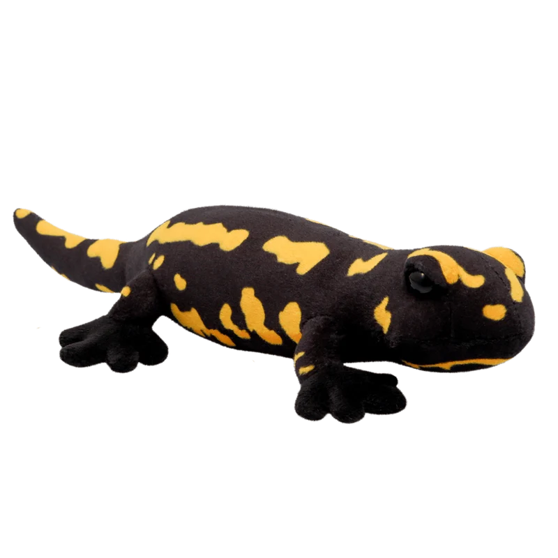 Tout sur la salamandre de feu de la nature