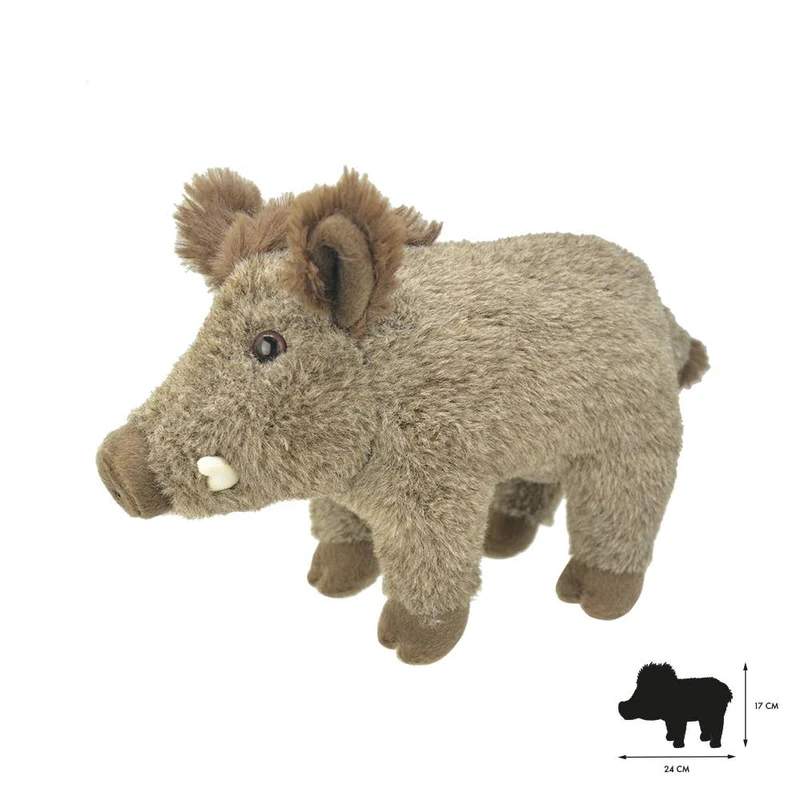 Tout sur la nature Wild Boar