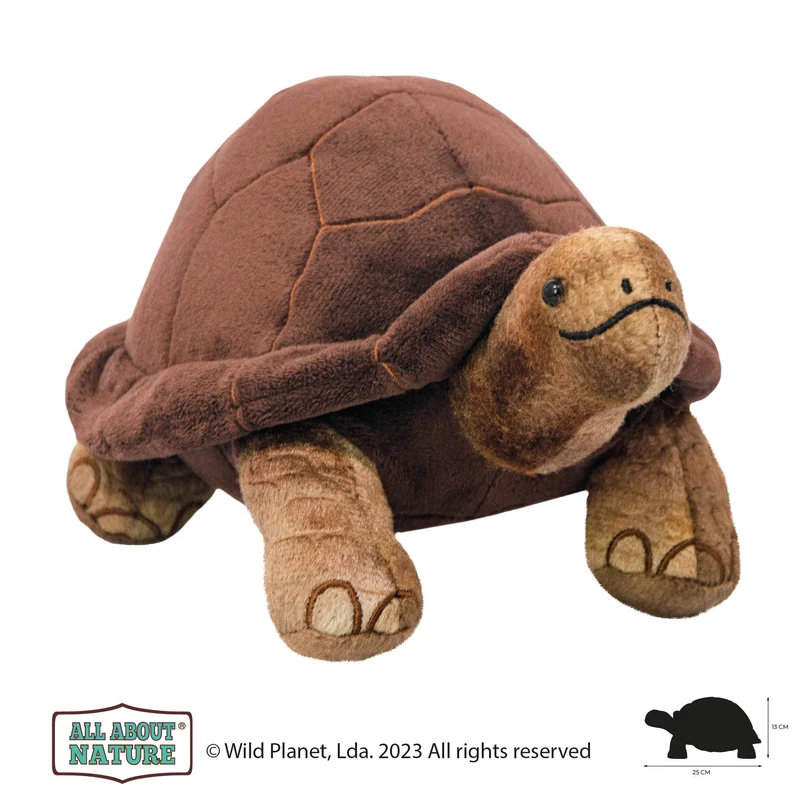 Tout sur Nature Giant Tortoise