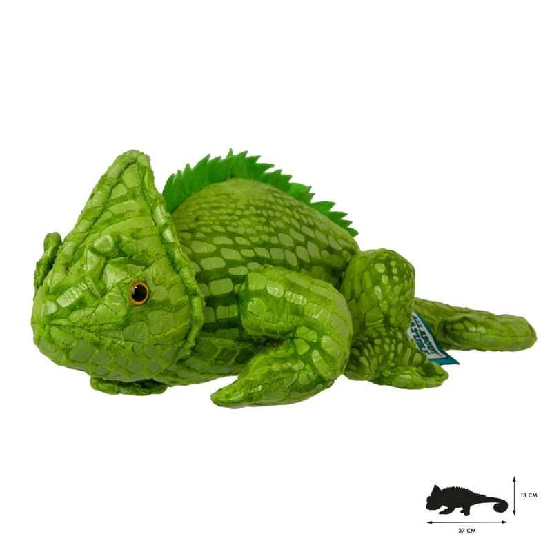 Tout savoir sur Nature Chameleon