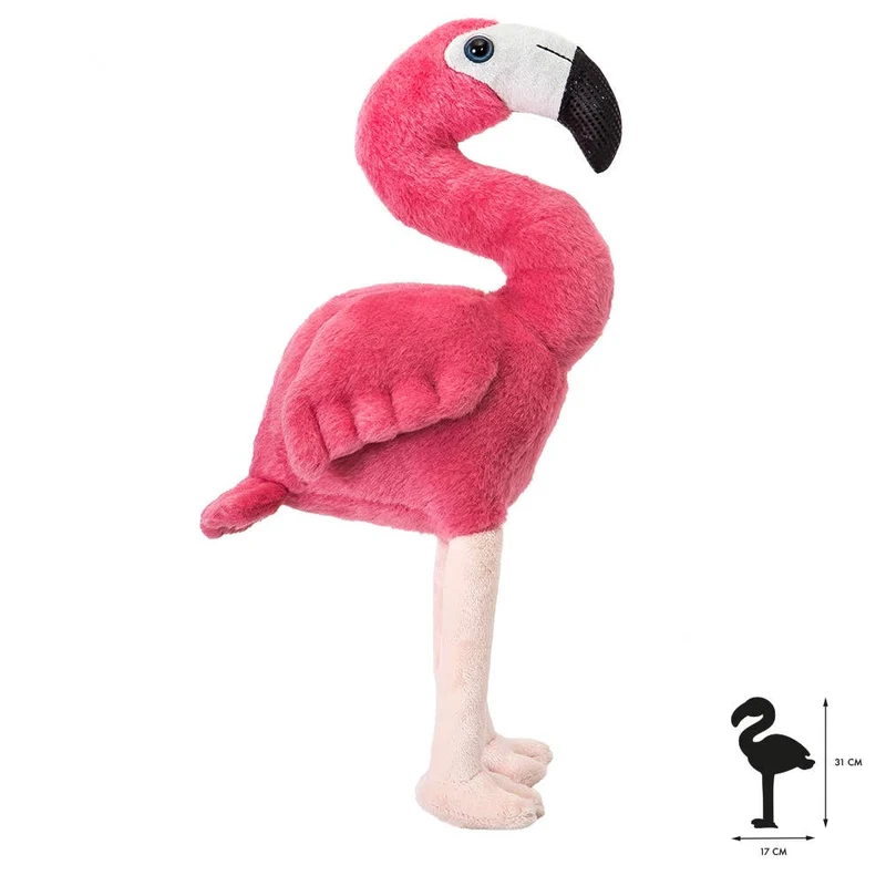 Tout sur Nature Flamingo