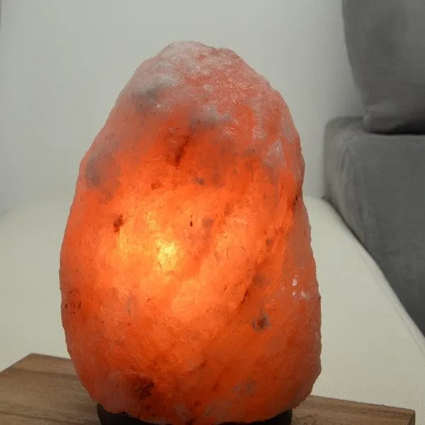 Lampe en Cristal de Sel d'Himalaya de 2 à 3 kg