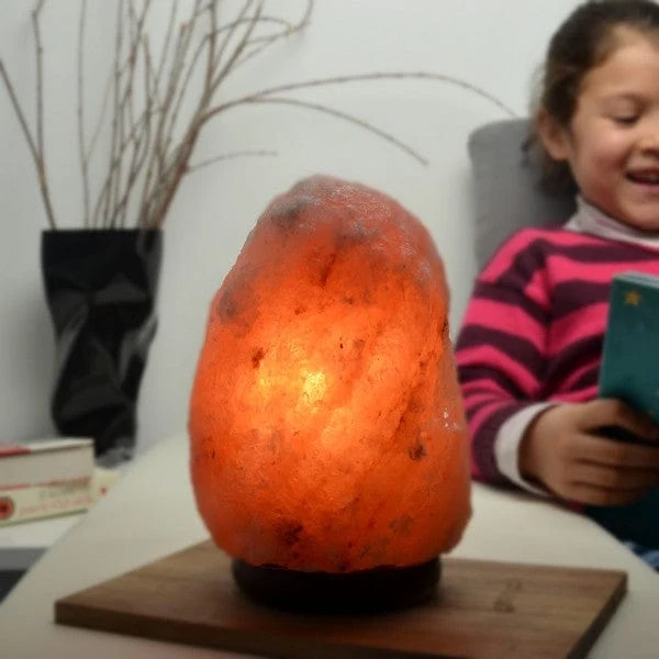 Lampe en Cristal de Sel d'Himalaya de 2 à 3 kg