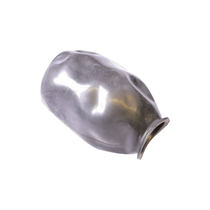 Membrane de rechange WaterTank 50 l