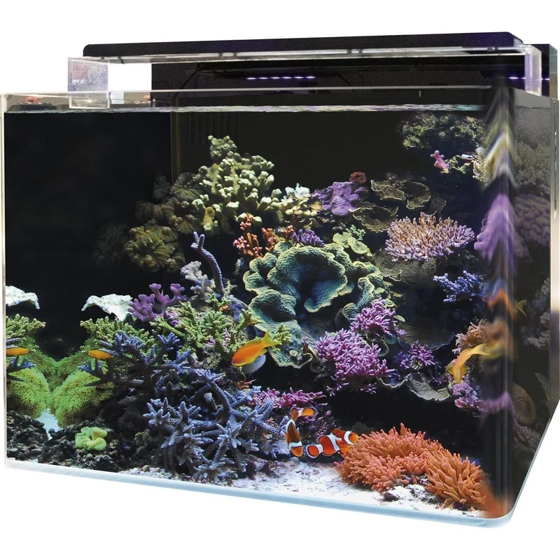 Blue Marine Reef 120 Aquarium