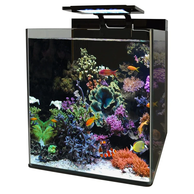 Blue Marine Reef 90 Aquarium