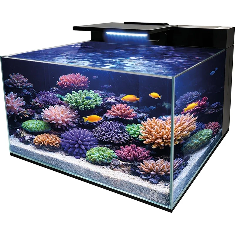 Blue Marine Reef Coral Garden 55