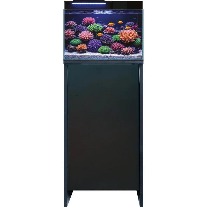 Blue Marine Reef Coral Garden 55