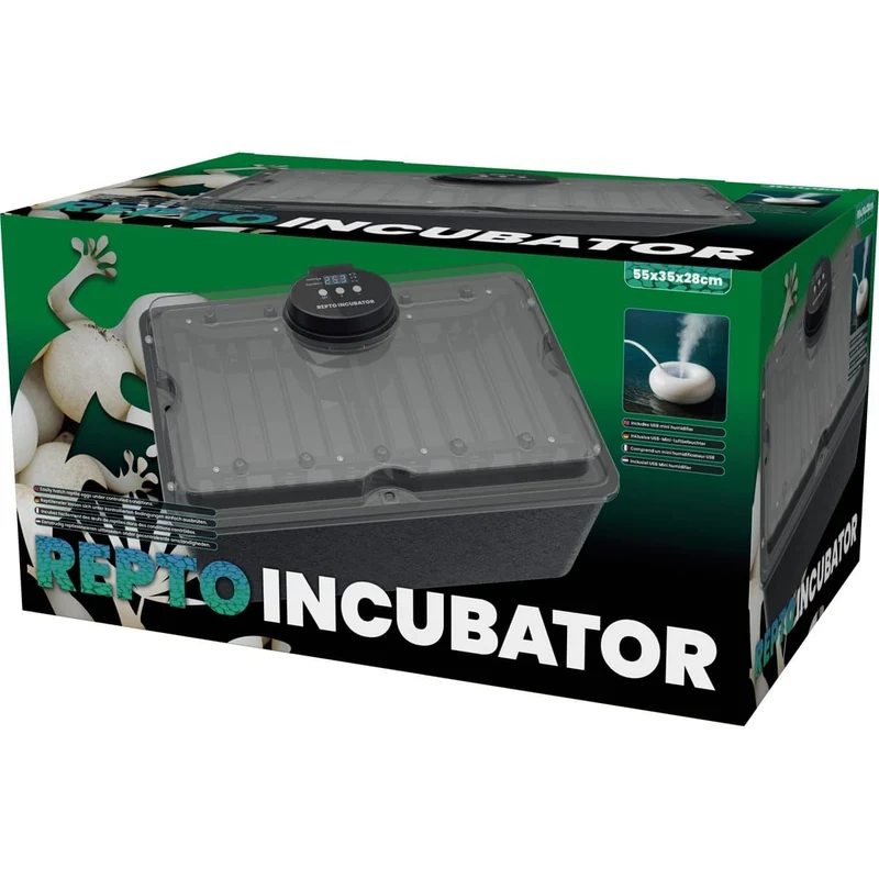 Repto Incubateur
