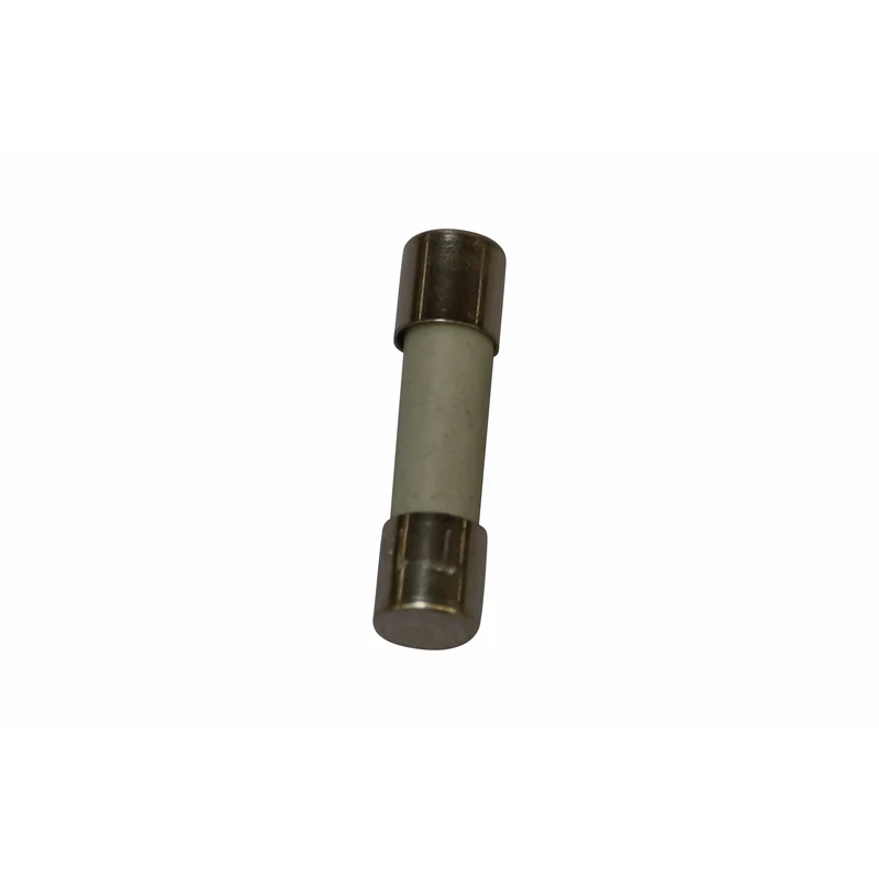 Fusible T16A 250 V