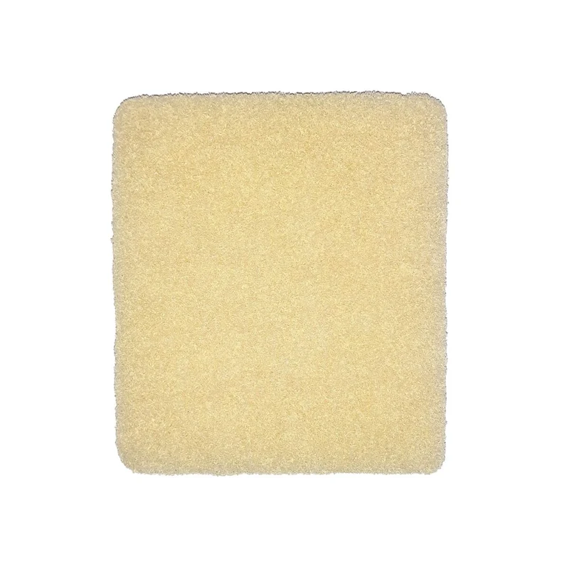 Filtre à air AquaOxy 5000