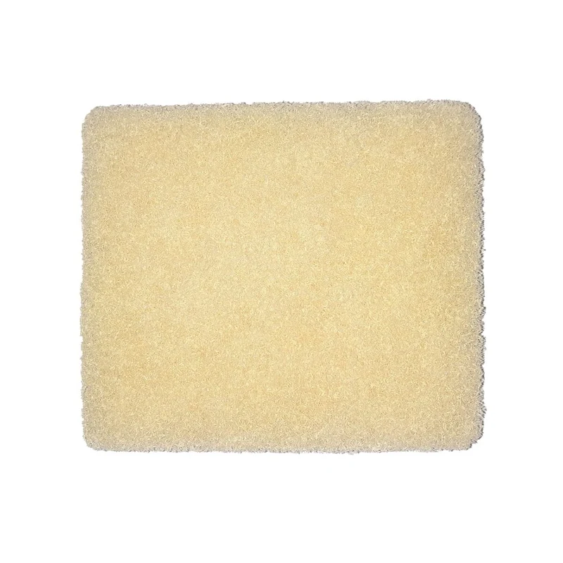 Filtre à air AquaOxy 2500