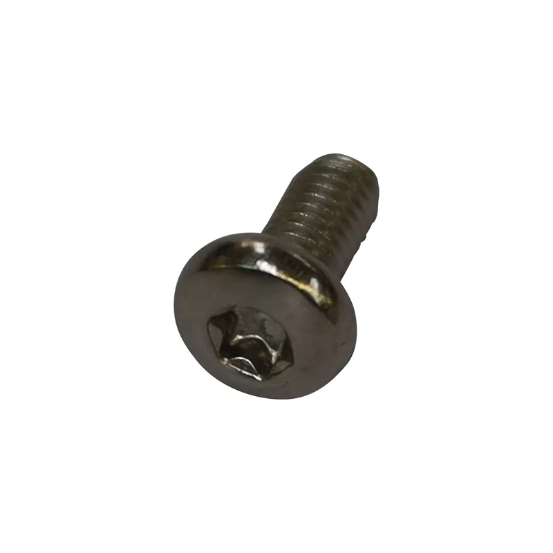 Vis à tête bombée Torx inox V2A ISO14583 M6 x 12