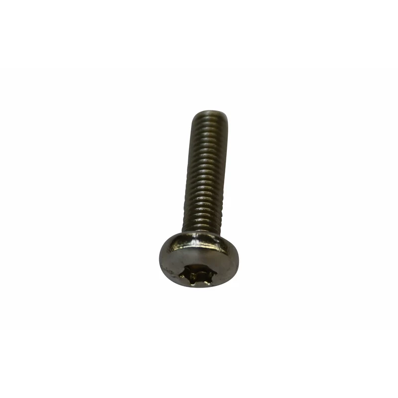 Vis à tête bombée Torx inox V2A ISO14583 M6 x 25