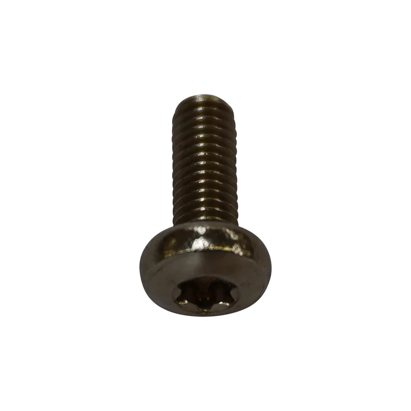 Vis à tête bombée Torx inox V2A ISO14583 M6 x 16