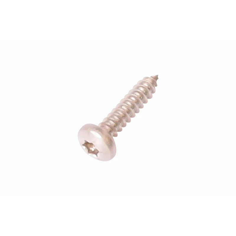 Vis à tête bombée Torx inox V2A DIN7981 4,8 x 22