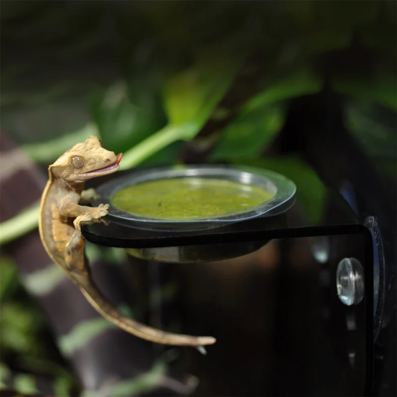 HabiStat Arboreal Feeding Ledge Simple
